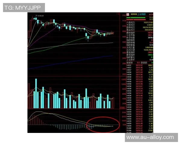 成都羽毛球队与杭州羽毛球队赛后复盘分析比赛节奏与策略对比 成都羽毛球队与杭州羽毛球队赛后复盘分析比赛节奏与策略对比