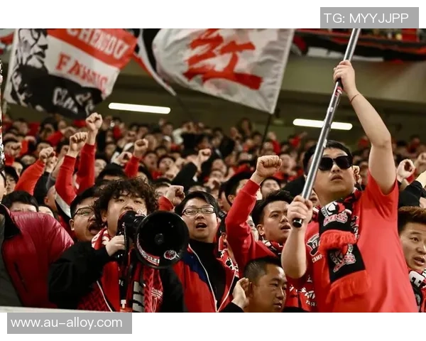 成都飞盘队实力引发热议球迷对其表现褒贬不一的背后原因分析