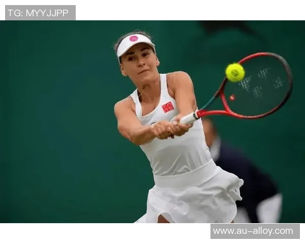 武汉网球队实力分析与发展潜力探讨之网球焦点研究