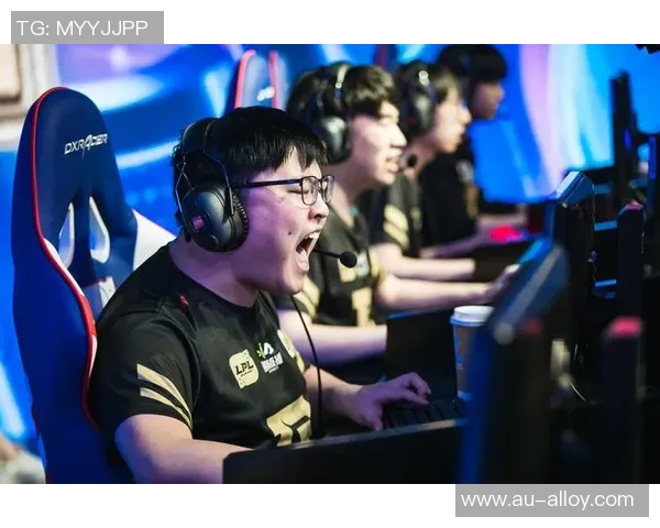 英雄联盟个人能力排行榜揭晓RNG战队荣登第六名引发热议