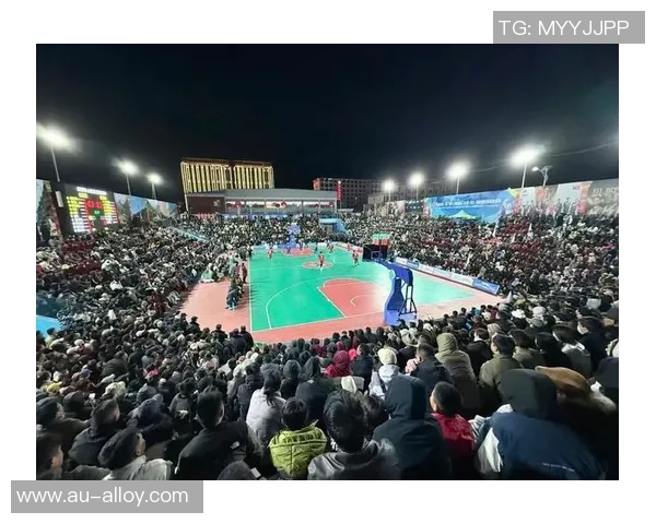 与王娜畅谈她的篮球生涯与成长历程的精彩对话